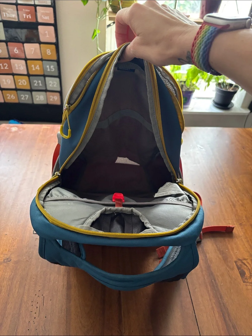 OSPREY Daylite Backpack in Gray, Blue & Orange Trim